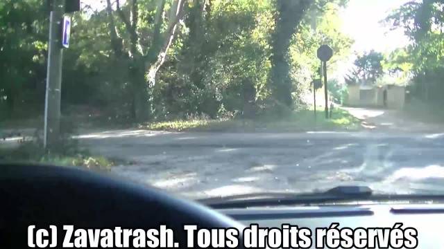 Deux salopes ambulantes sucent un vieux promeneur. #vadrouille