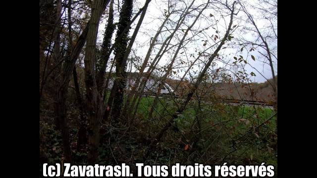 Cette cochonne se masturbe pour un abonné au bord de l'autoroute.